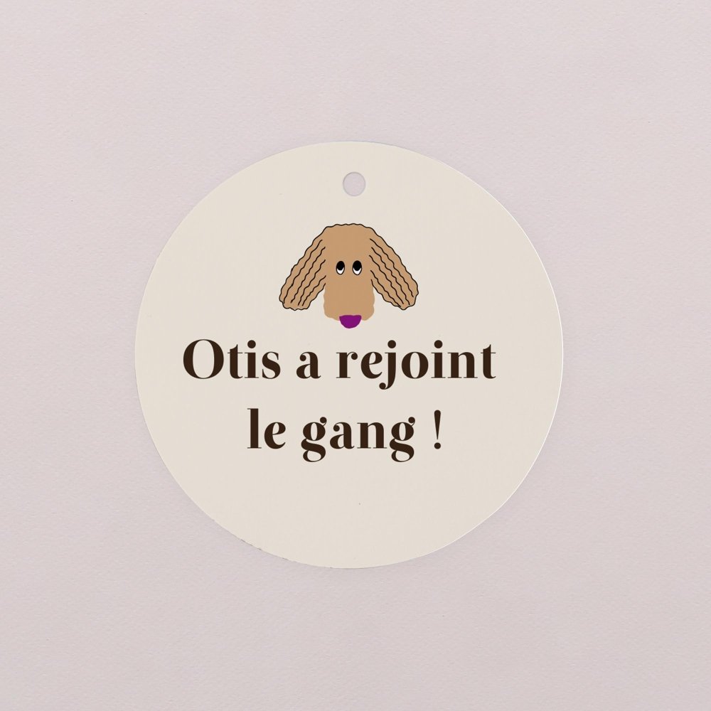 Dogs & dogs - Noisette