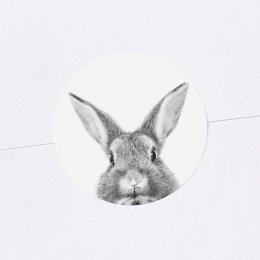 Scandi Bunny