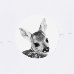 Scandi Fawn